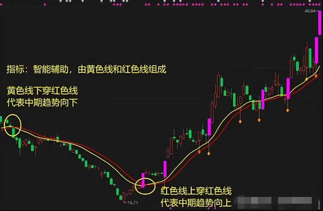 中国股市能永远赚钱的只有一种人送给新手股民说得太好了!