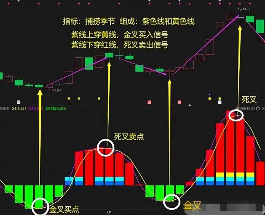 中国股市能永远赚钱的只有一种人送给新手股民说得太好了!