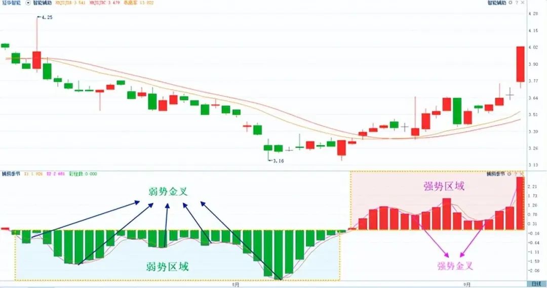 中国股市能永远赚钱的只有一种人送给新手股民说得太好了!