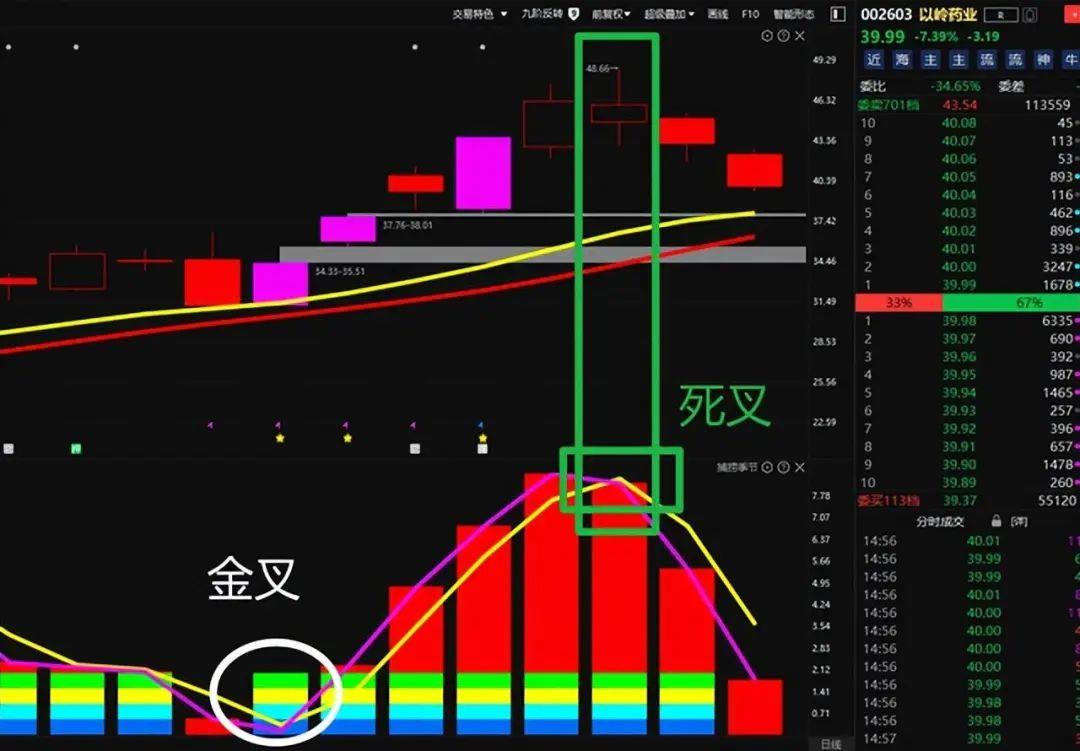 中国股市能永远赚钱的只有一种人送给新手股民说得太好了!