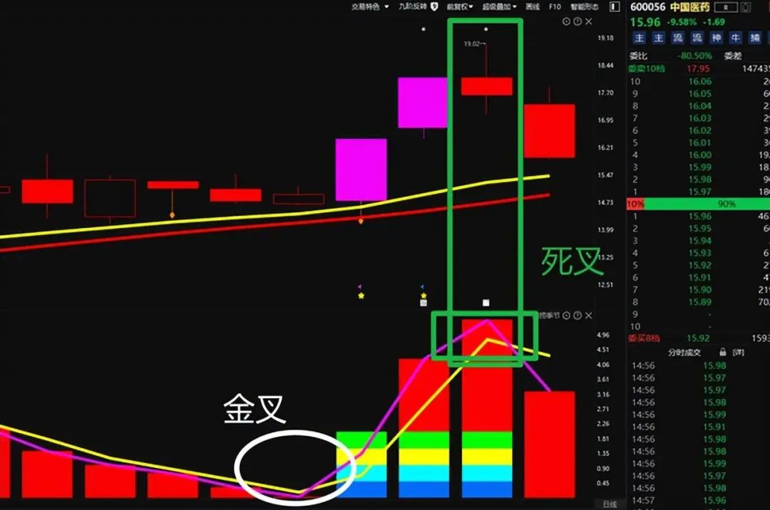 中国股市能永远赚钱的只有一种人送给新手股民说得太好了!