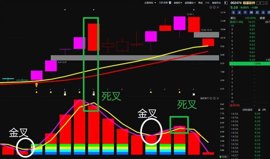中国股市能永远赚钱的只有一种人送给新手股民说得太好了!