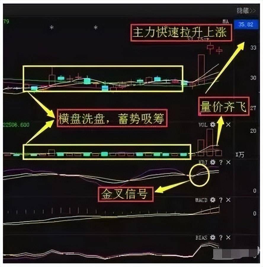 中国股市在中国市场一旦发现这种股票散户还要错过机会？