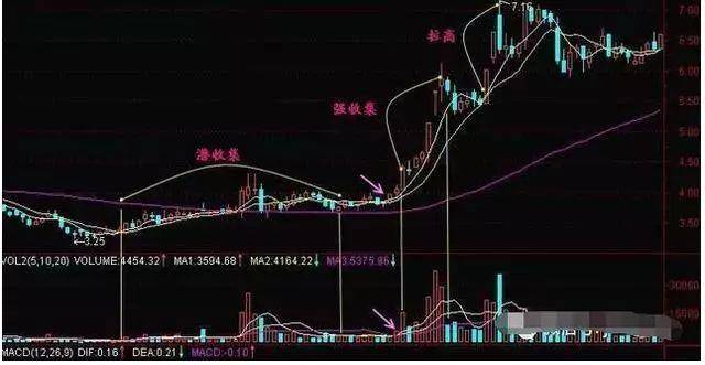 中国股市在中国市场一旦发现这种股票散户还要错过机会?