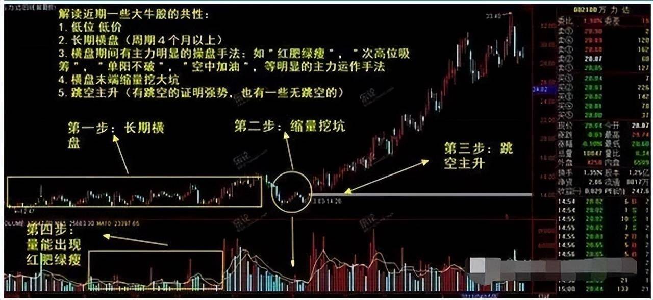 中国股市在中国市场一旦发现这种股票散户还要错过机会?