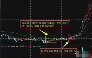 老股民肺腑之言现如今的股市炒股这么难为什么你还在坚持!