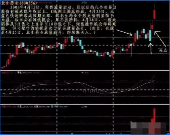 一位顶级操盘手放话反复牢记这些炒股铁律你才是真正的高手