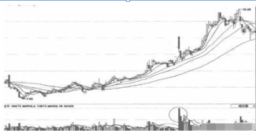 A股当我分清缩量上涨和放量上涨终于找准了强势龙头