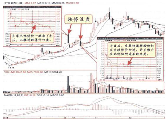 A股当我分清缩量上涨和放量上涨终于找准了强势龙头