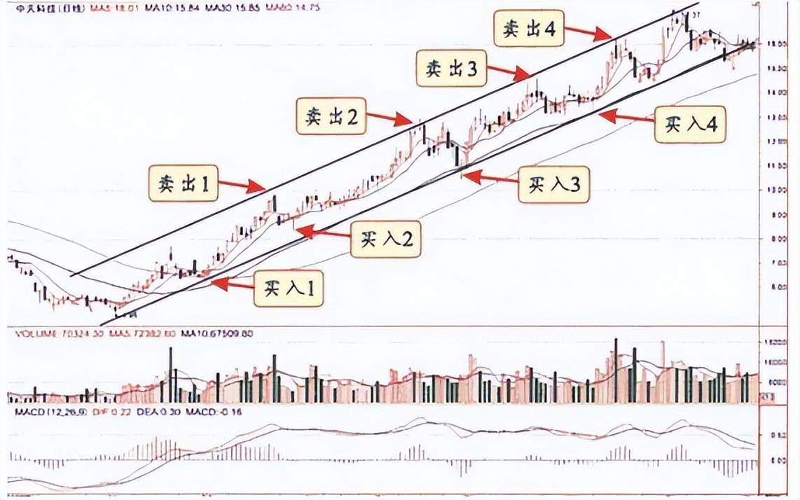 A股当我分清缩量上涨和放量上涨终于找准了强势龙头