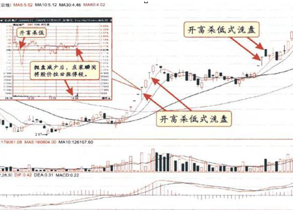 A股当我分清缩量上涨和放量上涨终于找准了强势龙头