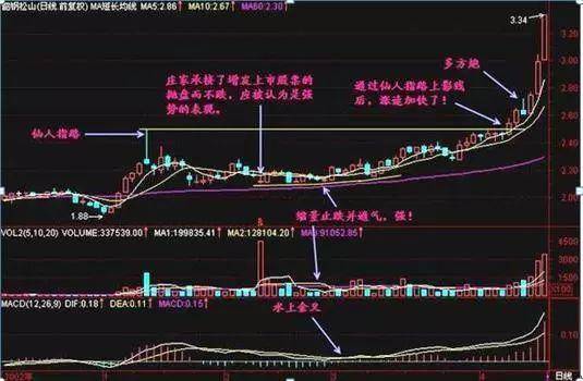 中国股市股市就是人生的修炼场要掌握驾驭行情的方法