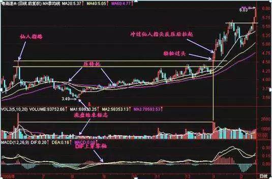 中国股市股市就是人生的修炼场要掌握驾驭行情的方法