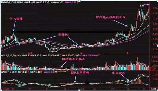 中国股市股市就是人生的修炼场要掌握驾驭行情的方法