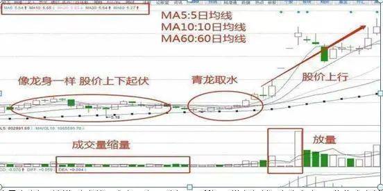 中国股市假如持有的股票明天批量涨停买不进去了怎么办?