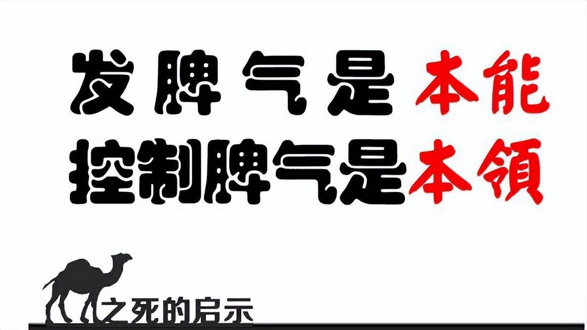 在股市到底是谁割了谁的韭菜