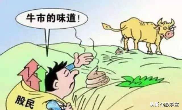 股民常见的现象道理啥的都懂但是就是不赚钱！