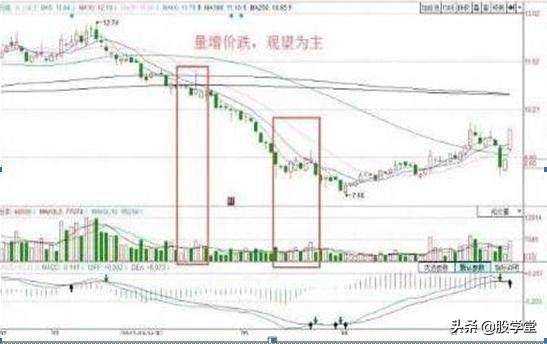 新手篇成交量的精髓用法