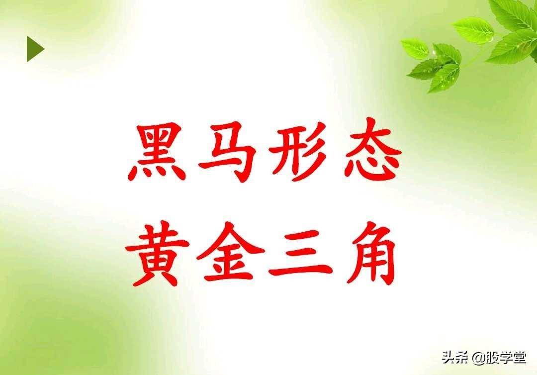 短线暴涨黑马股经典形态如何抓黑马股附图