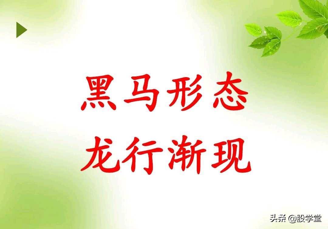短线暴涨黑马股经典形态如何抓黑马股附图