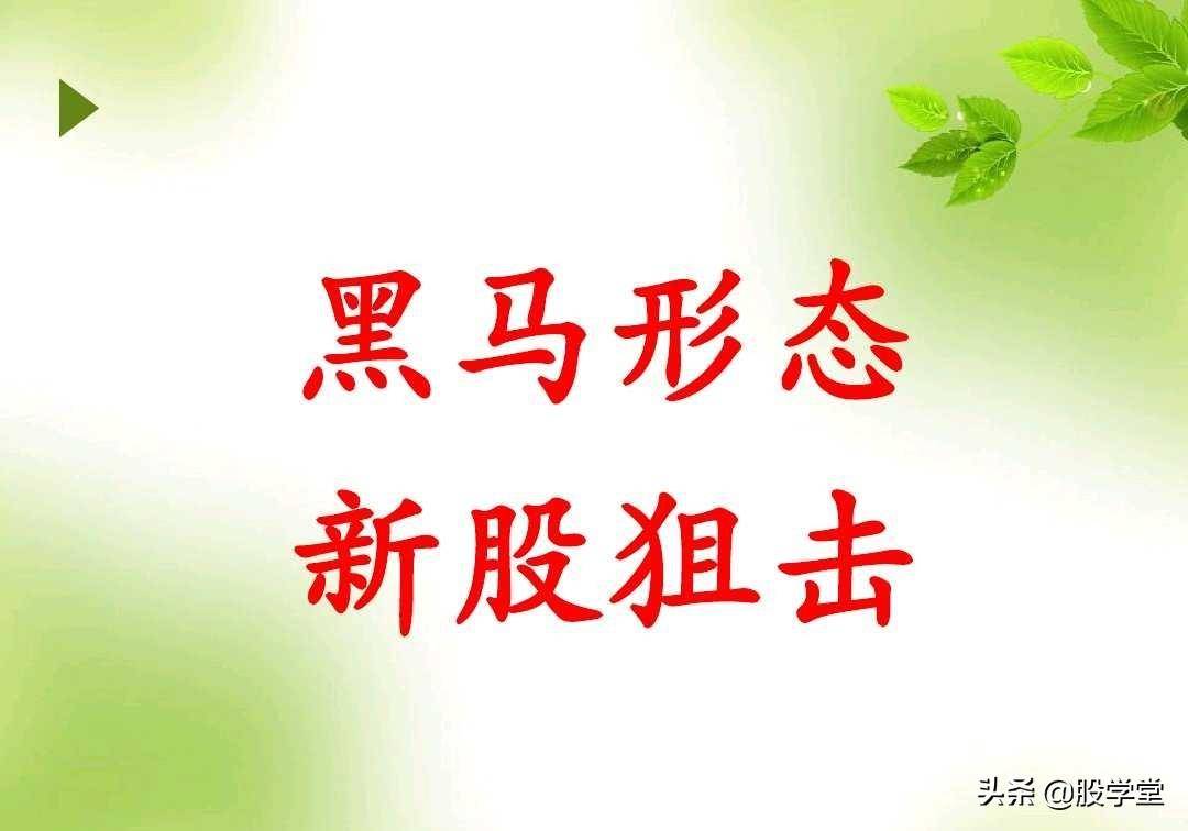 短线暴涨黑马股经典形态如何抓黑马股附图