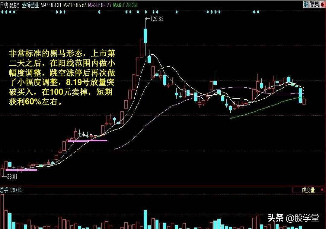 短线暴涨黑马股经典形态如何抓黑马股附图