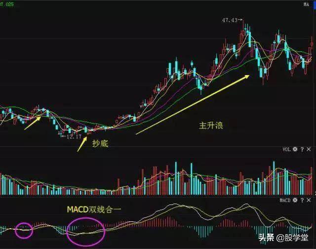 股市有耐心就会赚大钱牢记MACD顶底背离轻松抄底逃顶！