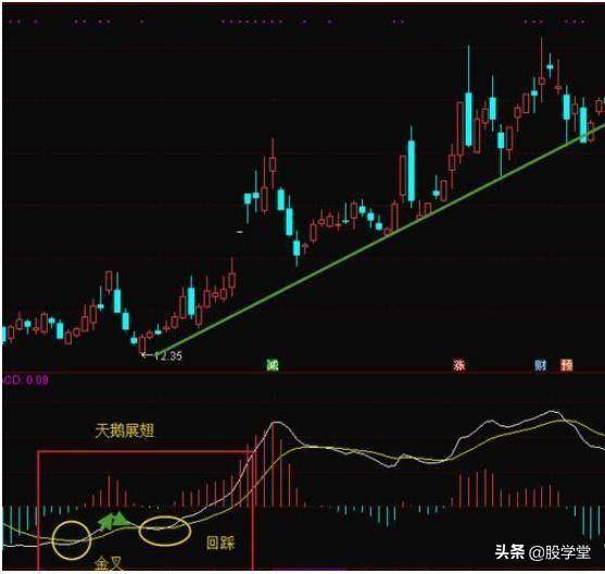 股市有耐心就会赚大钱牢记MACD顶底背离轻松抄底逃顶！