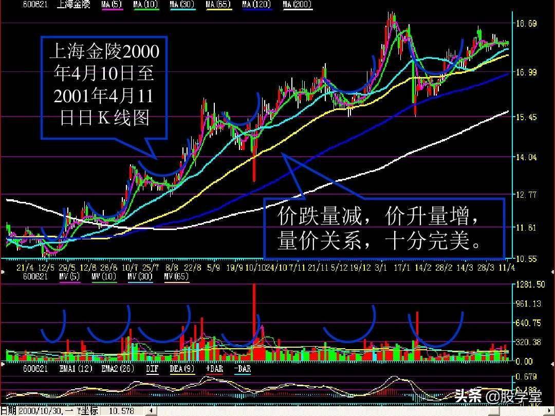 成交量的量价关系图解大全