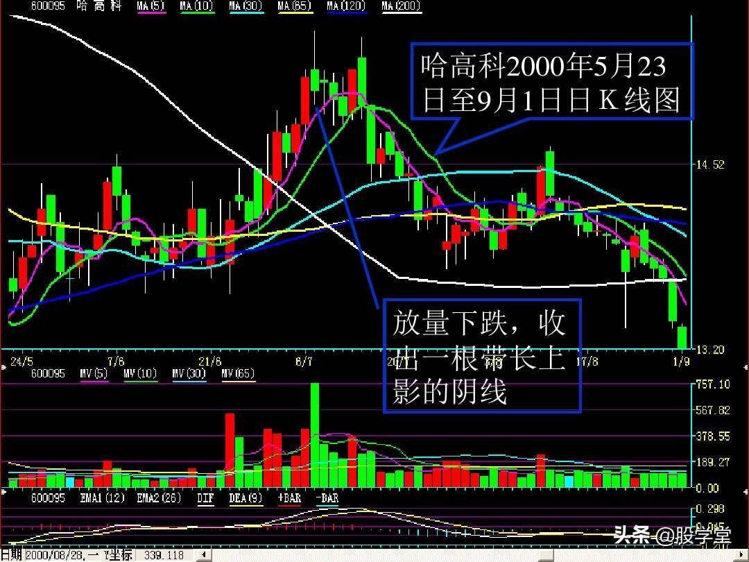 成交量的量价关系图解大全