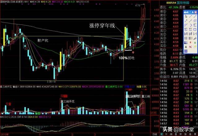 涨停板战法强者恒强阻击黑马突破涨停板