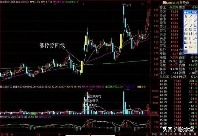 涨停板战法强者恒强阻击黑马突破涨停板