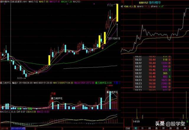 涨停板战法强者恒强阻击黑马突破涨停板
