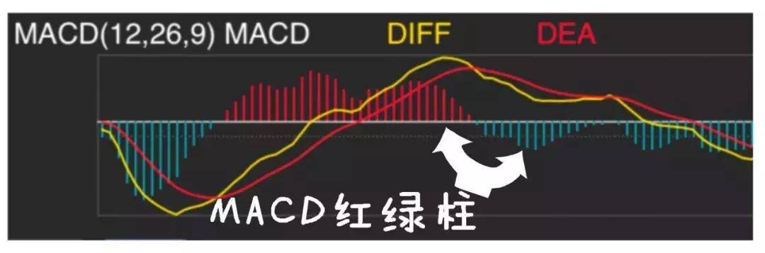 MACD被称为指标之王悟透顶底背离抄底逃顶不是梦附图