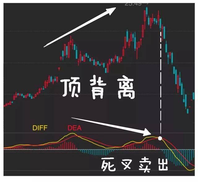 MACD被称为指标之王悟透顶底背离抄底逃顶不是梦附图
