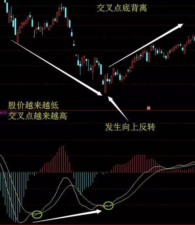 MACD被称为指标之王悟透顶底背离抄底逃顶不是梦附图