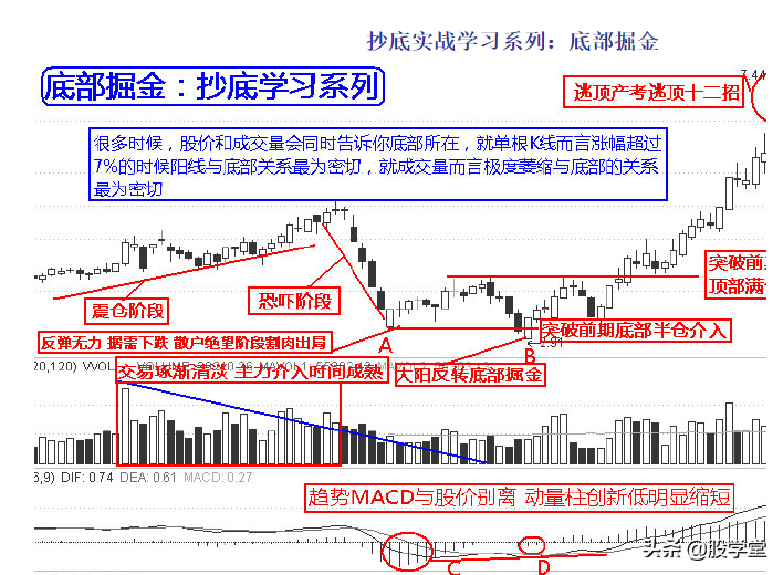 实战抄底十二招图解收藏版