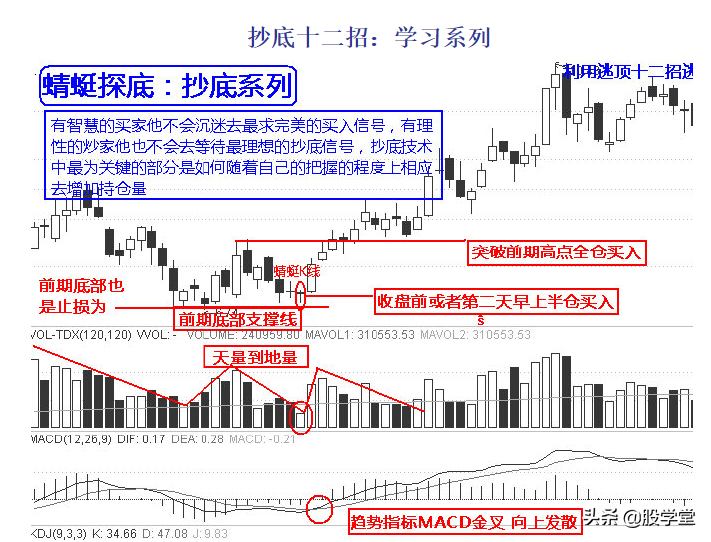 实战抄底十二招图解收藏版