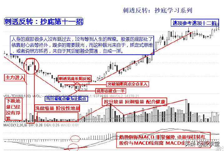实战抄底十二招图解收藏版