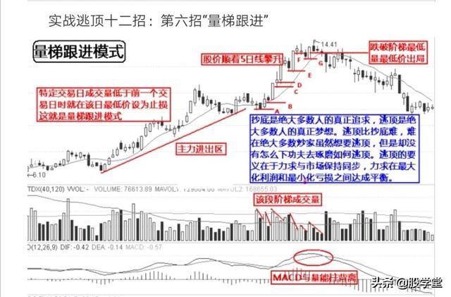 实战逃顶十二招图解收藏版