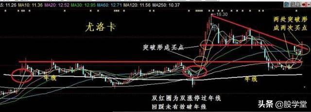 股市真功夫降龙十八掌之涨停出击实战图解收藏版