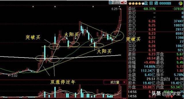 股市真功夫降龙十八掌之涨停出击实战图解收藏版