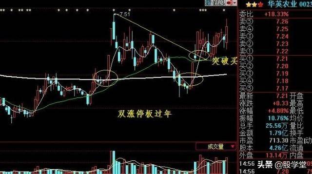 股市真功夫降龙十八掌之涨停出击实战图解收藏版
