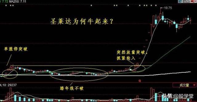 股市真功夫降龙十八掌之涨停出击实战图解收藏版