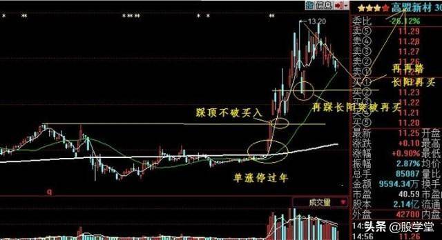 股市真功夫降龙十八掌之涨停出击实战图解收藏版