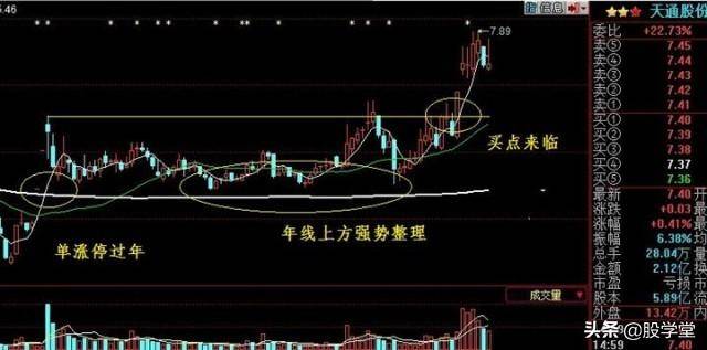 股市真功夫降龙十八掌之涨停出击实战图解收藏版