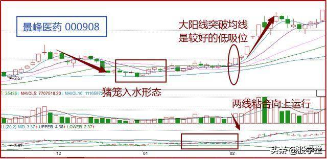 巧用猪笼入水把握股价腾飞前的黄金坑!附图