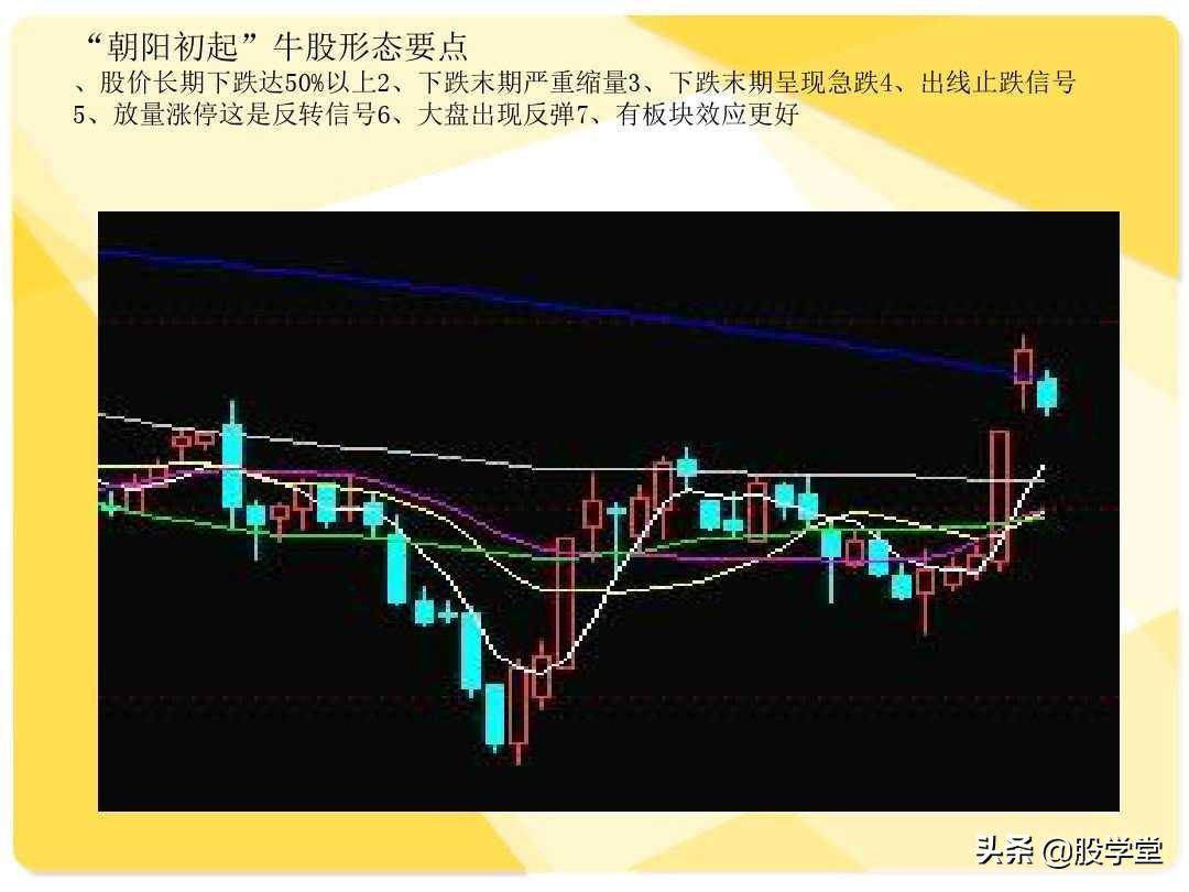 股票短线二十大牛股必涨技术形态图解收藏版
