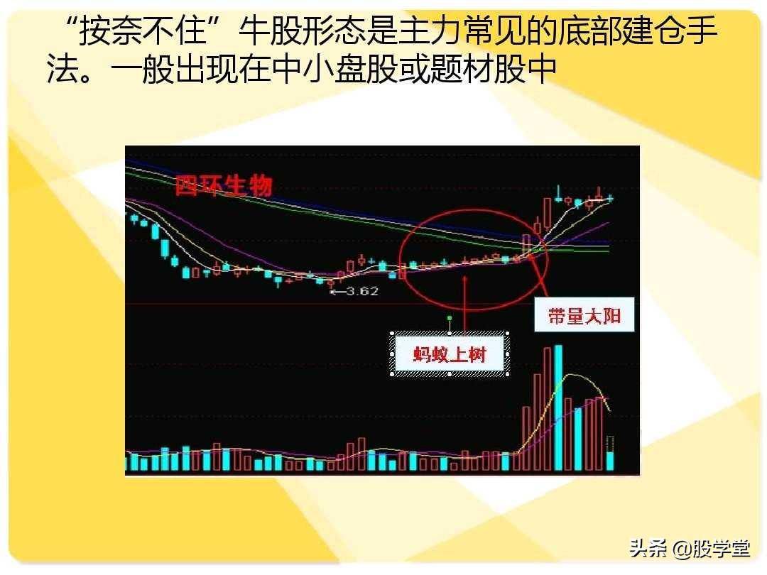 股票短线二十大牛股必涨技术形态图解收藏版
