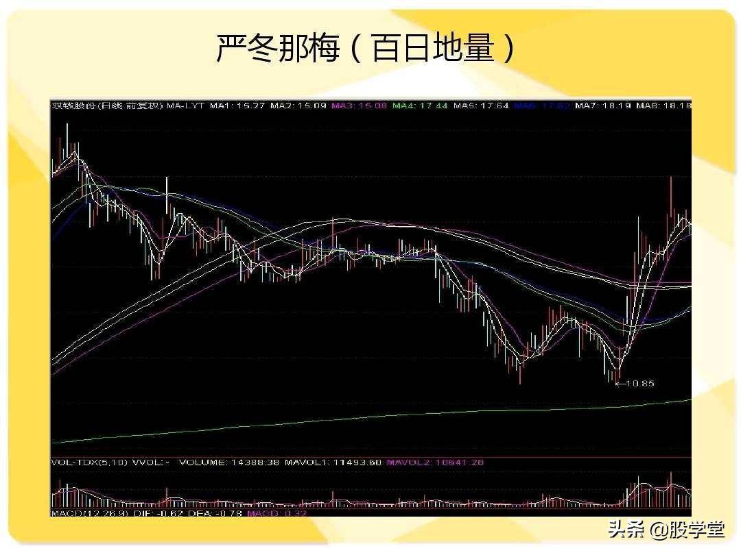 股票短线二十大牛股必涨技术形态图解收藏版